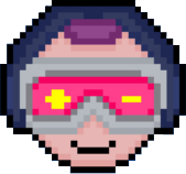 Developer